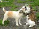 calin.jpg