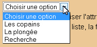 liste droulante
